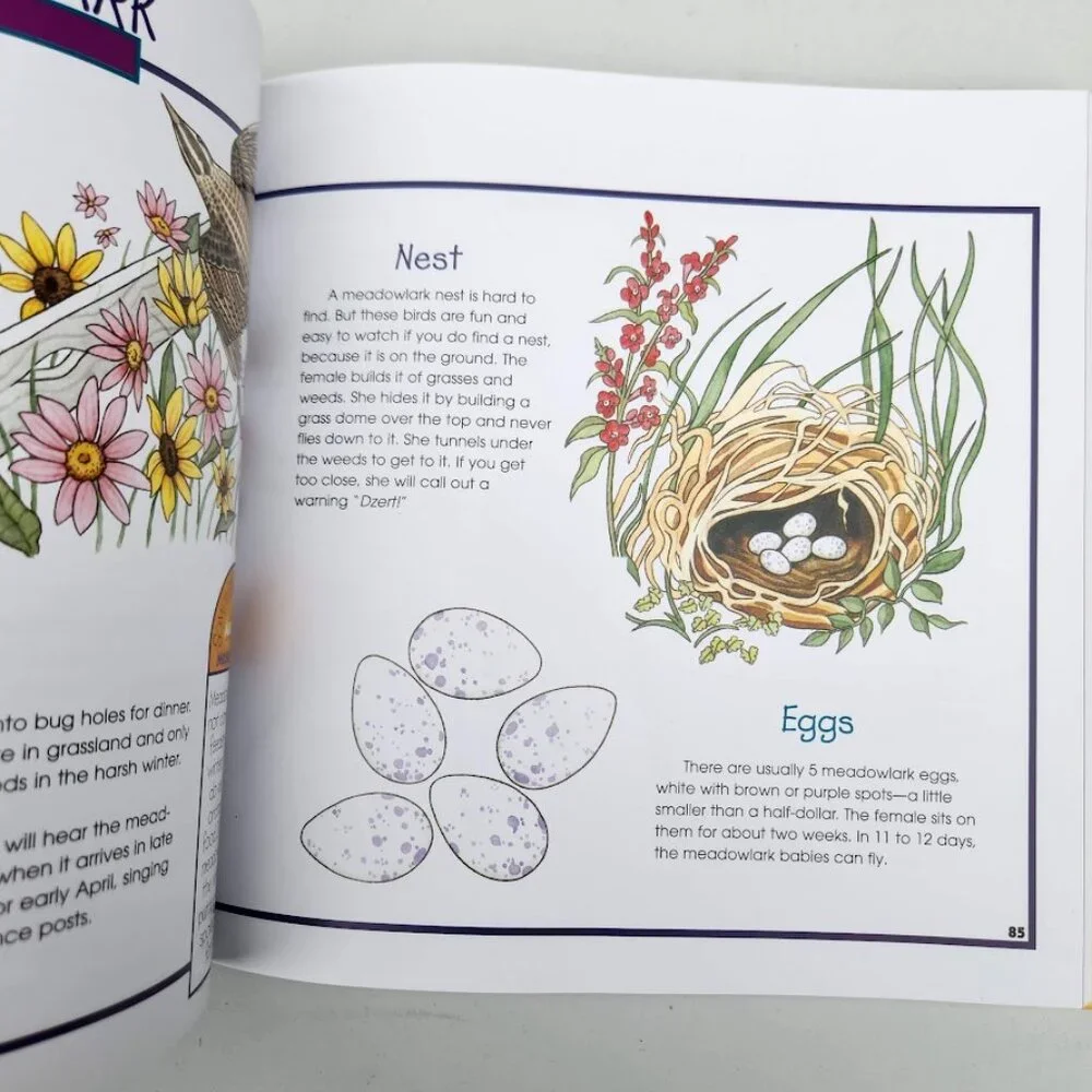 More Fun With Nature Take Along Guides Hardcover Book Activity Journal Craft